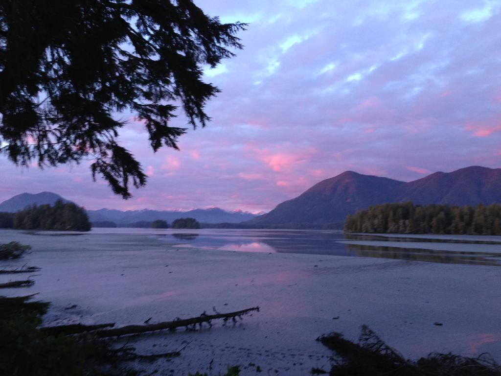 Black Bear Guesthouse Tofino Kültér fotó